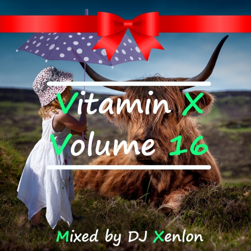 Vitamin X Volume 16 S.jpg