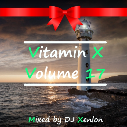 Vitamin X Volume 17 S.jpg