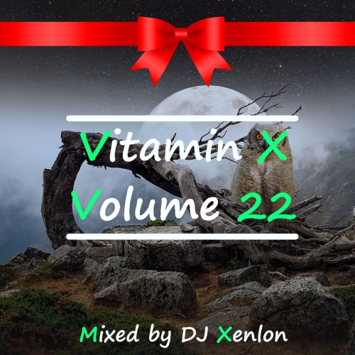 Vitamin X Volume 22 S.jpg